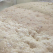 Lots of bubbles in the dough after spending a day in the fridge.