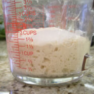 Took it to phase 3 with some more food (flour and water). Overnight it went from 3/4 cup to 1 3/4 cup.