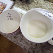 Disappointing morning when there wasn’t any indication of yeast activity overnight.