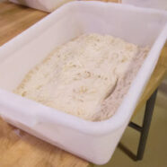Our tub of dough – enough for 20 loaves at our table of four