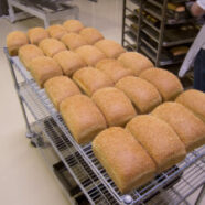 Cooling semolina loaves