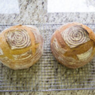 Boules from the oven