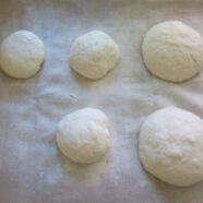 Dough pre-shaped into boules