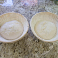 Divide dough, pre-shape, rest, shape for bannetons. 12:30pm.
