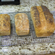 Loaves fresh from the oven.
