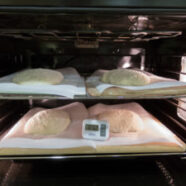 Four loaves, shaped and proofing in a cool oven.