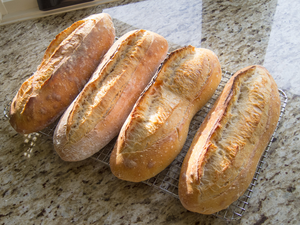 Loaf 29 – SFBI Sourdough Again