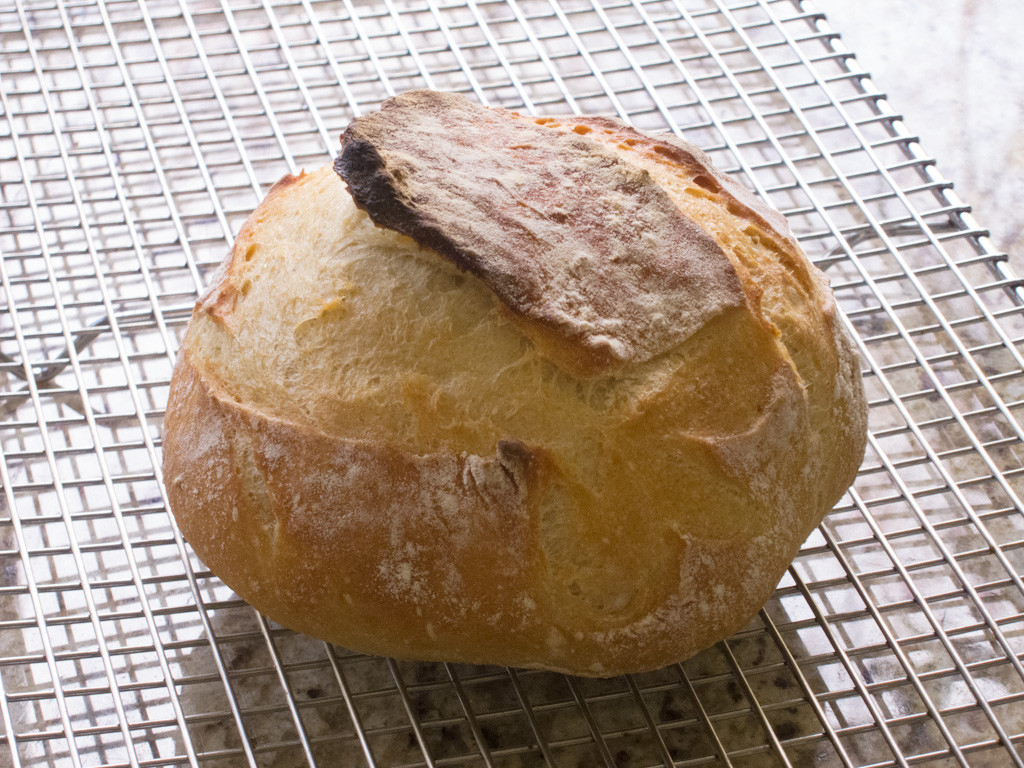 Loaf 33 – Artisan Bread in 5 Min. a Day