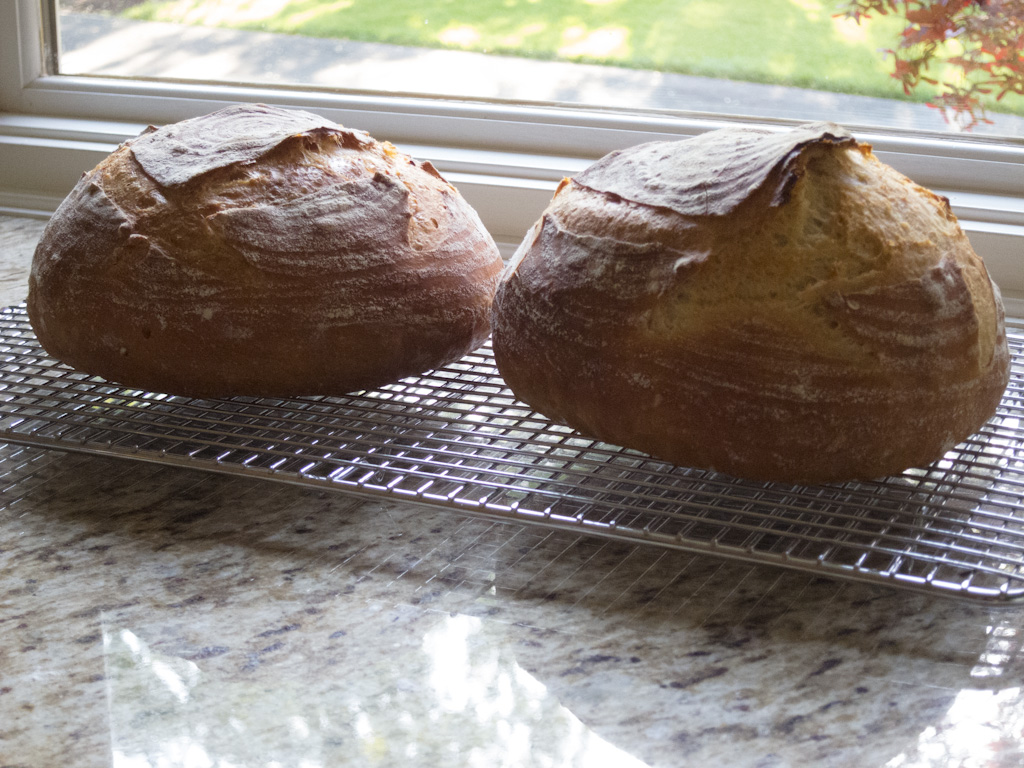 Loaf 46 – Oven Bake-off Loaves
