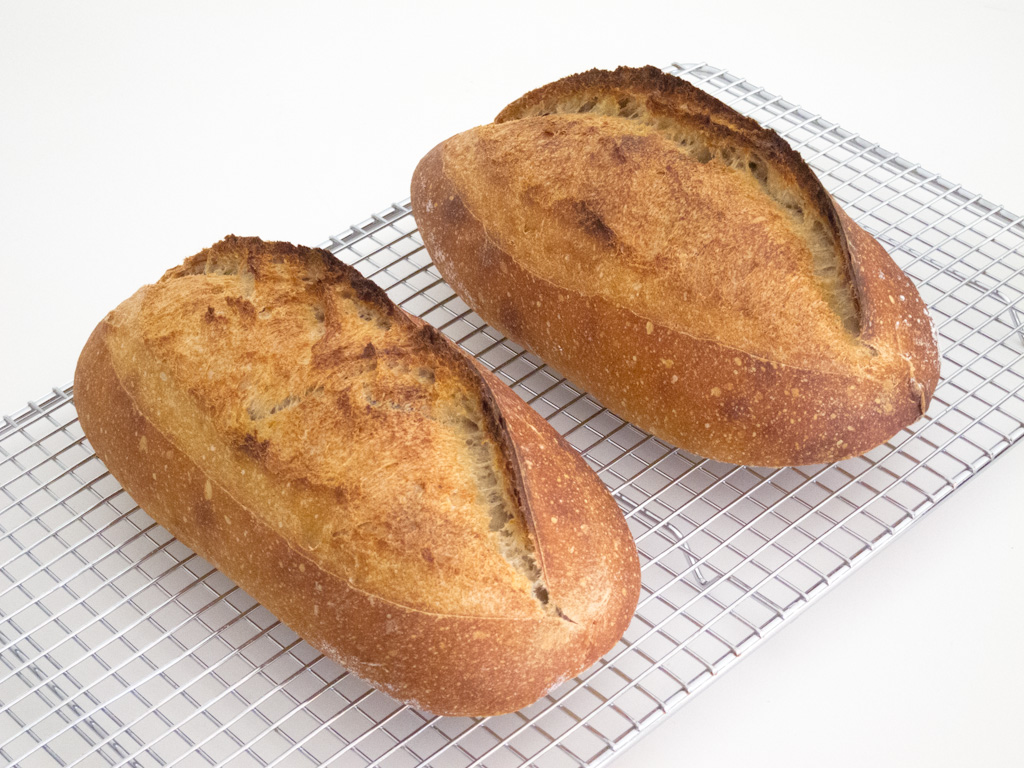 Loaf 49 – SFBI-style Sourdough