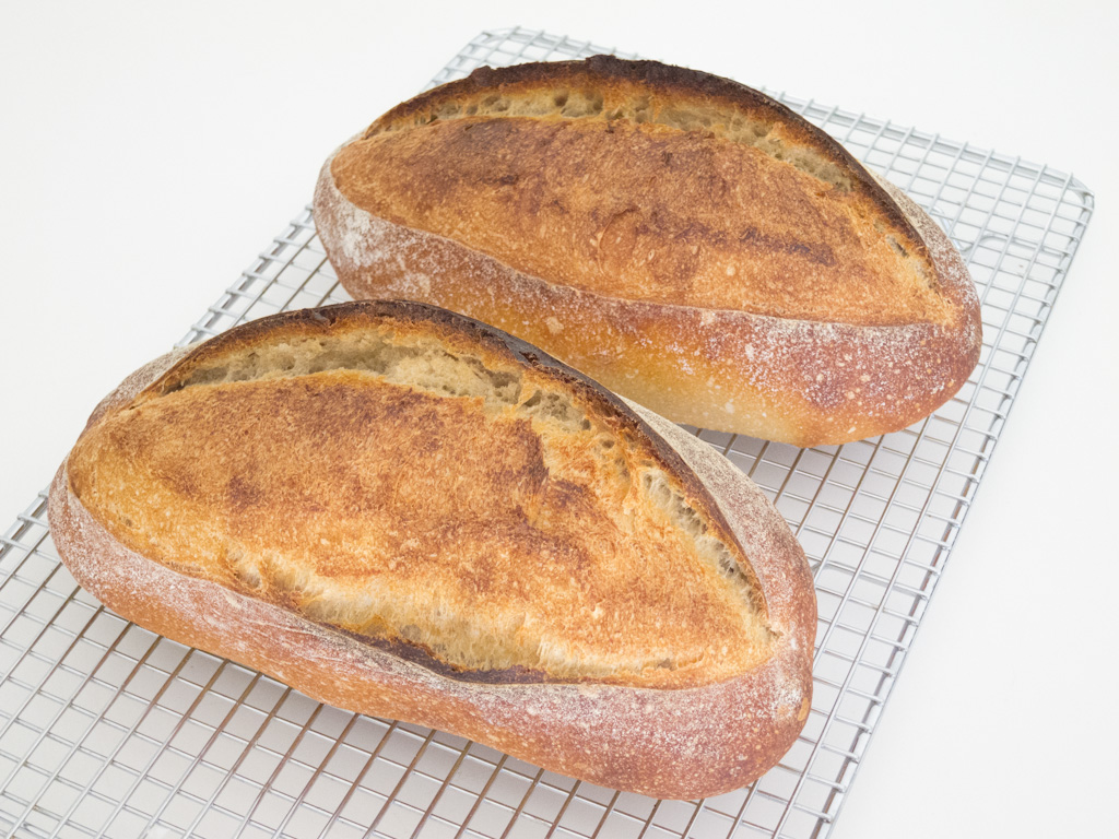 Loaf 50 – Halfway Sourdough!