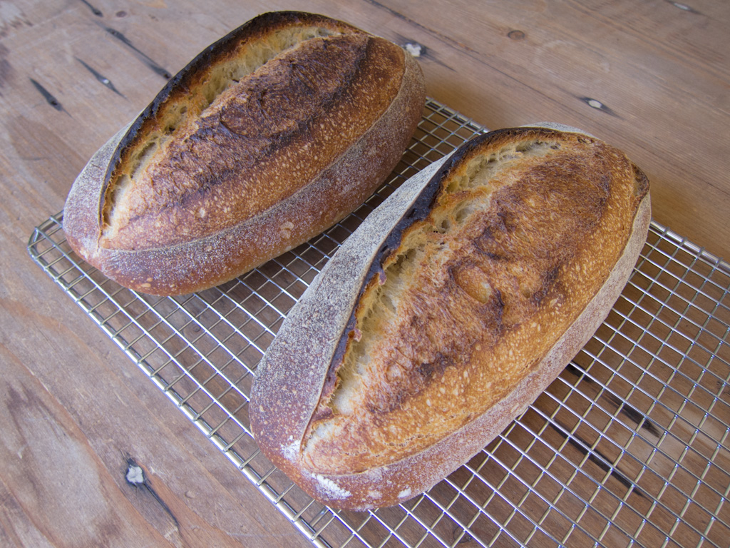 Loaf 51 – Longer Proof Sourdough