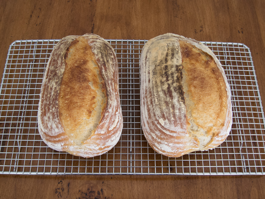 Loaf 57 – Lean Loaf, Back To Baking