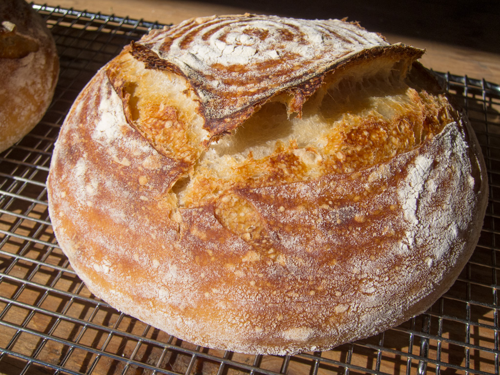 Loaf 63 – Tartine Sourdough
