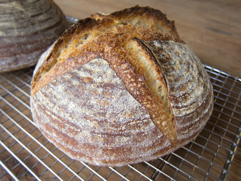 Loaf 76 – Good Sourdough Again