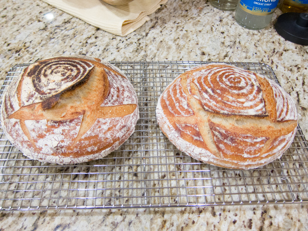 Loaf 78 – Sourdough w/Flour Variation