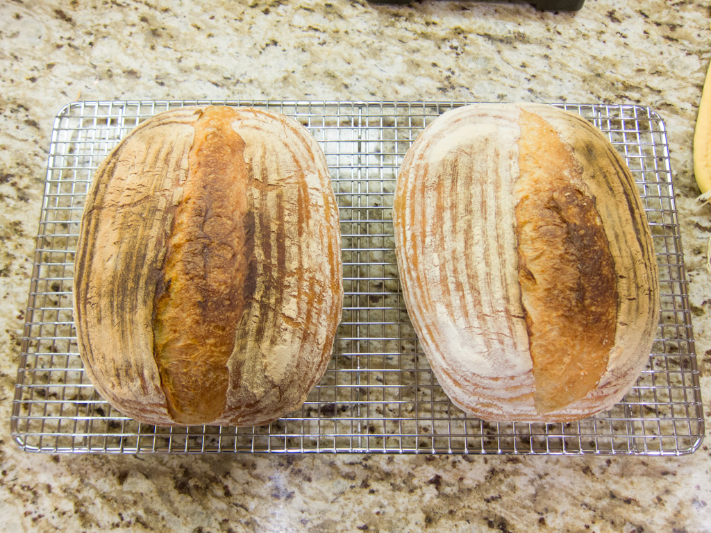 Loaf 95 – Lean Bread for Gifts